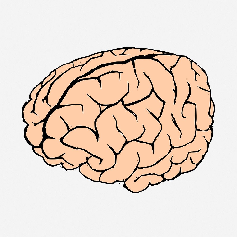 Human brain doodle, hand drawn illustration. Free public domain CC0 image.
