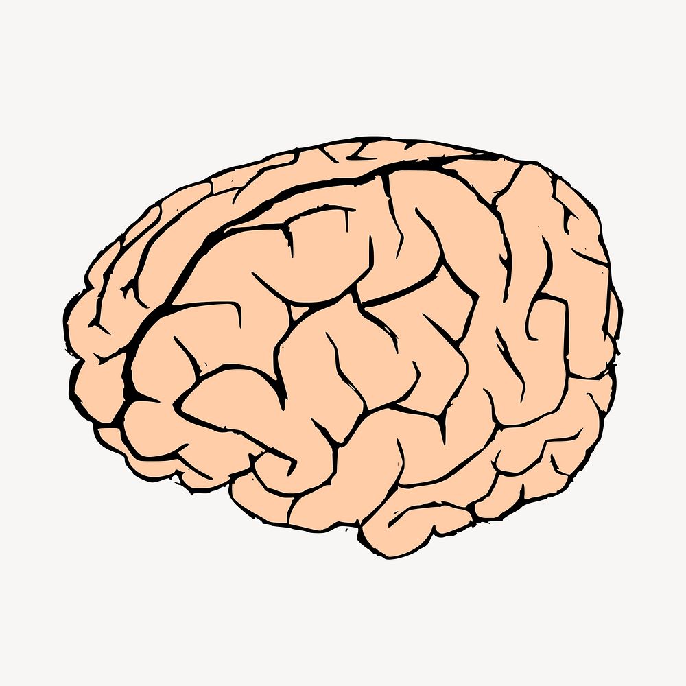 Human brain doodle, illustration vector. Free public domain CC0 image.