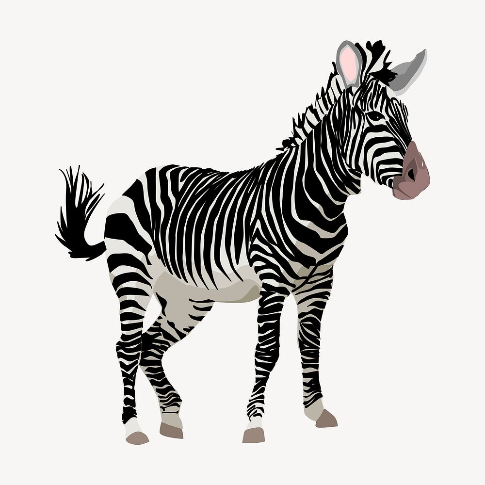 Zebra zoo animal clipart, illustration vector. Free public domain CC0 image.