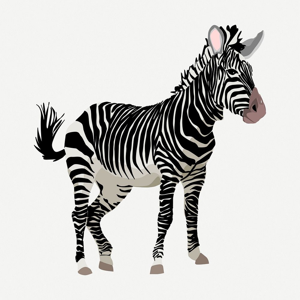Zebra zoo animal  clipart, collage element illustration psd. Free public domain CC0 image.