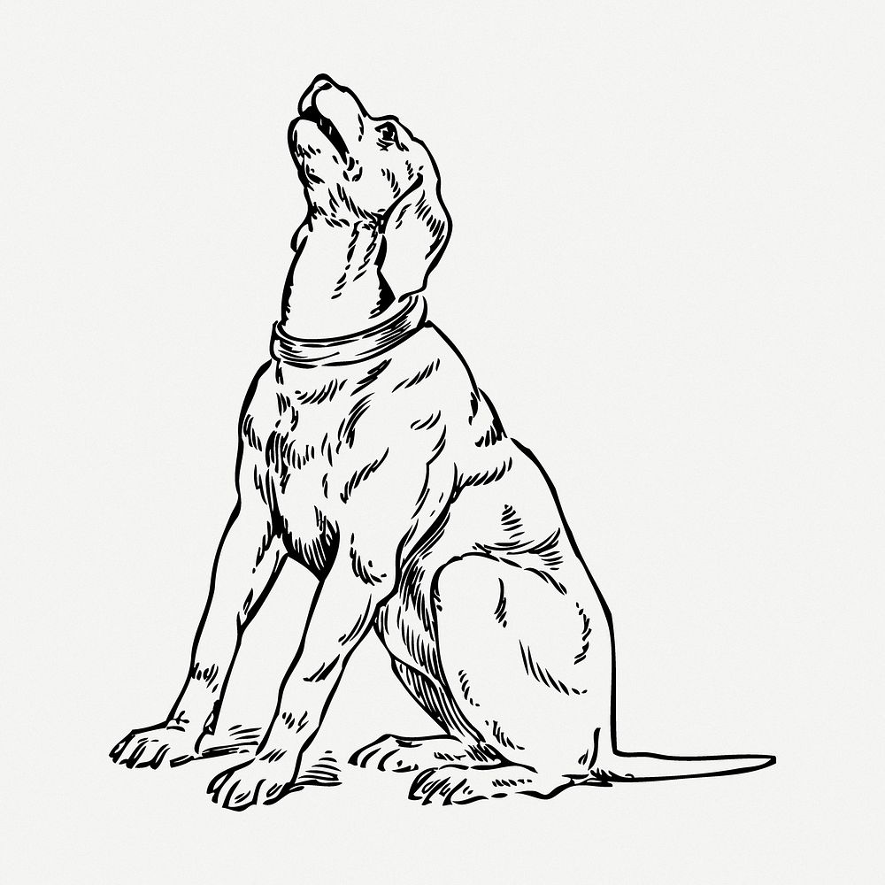 Howling dog drawing, animal vintage illustration psd. Free public domain CC0 image.