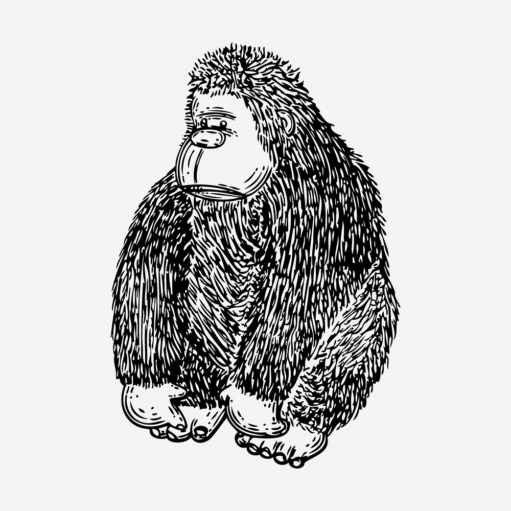 Gorilla drawing, animal vintage illustration. Free public domain CC0 image.