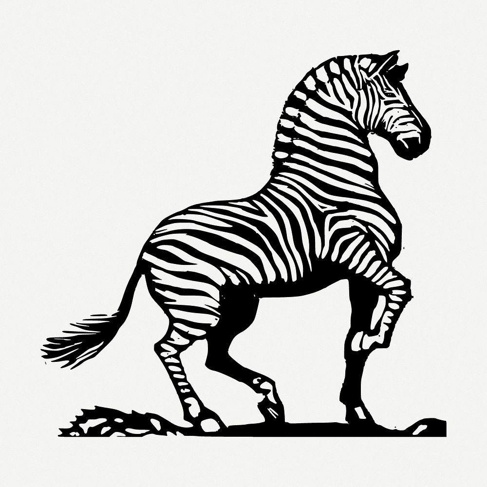 Zebra drawing, animal vintage illustration psd. Free public domain CC0 image.