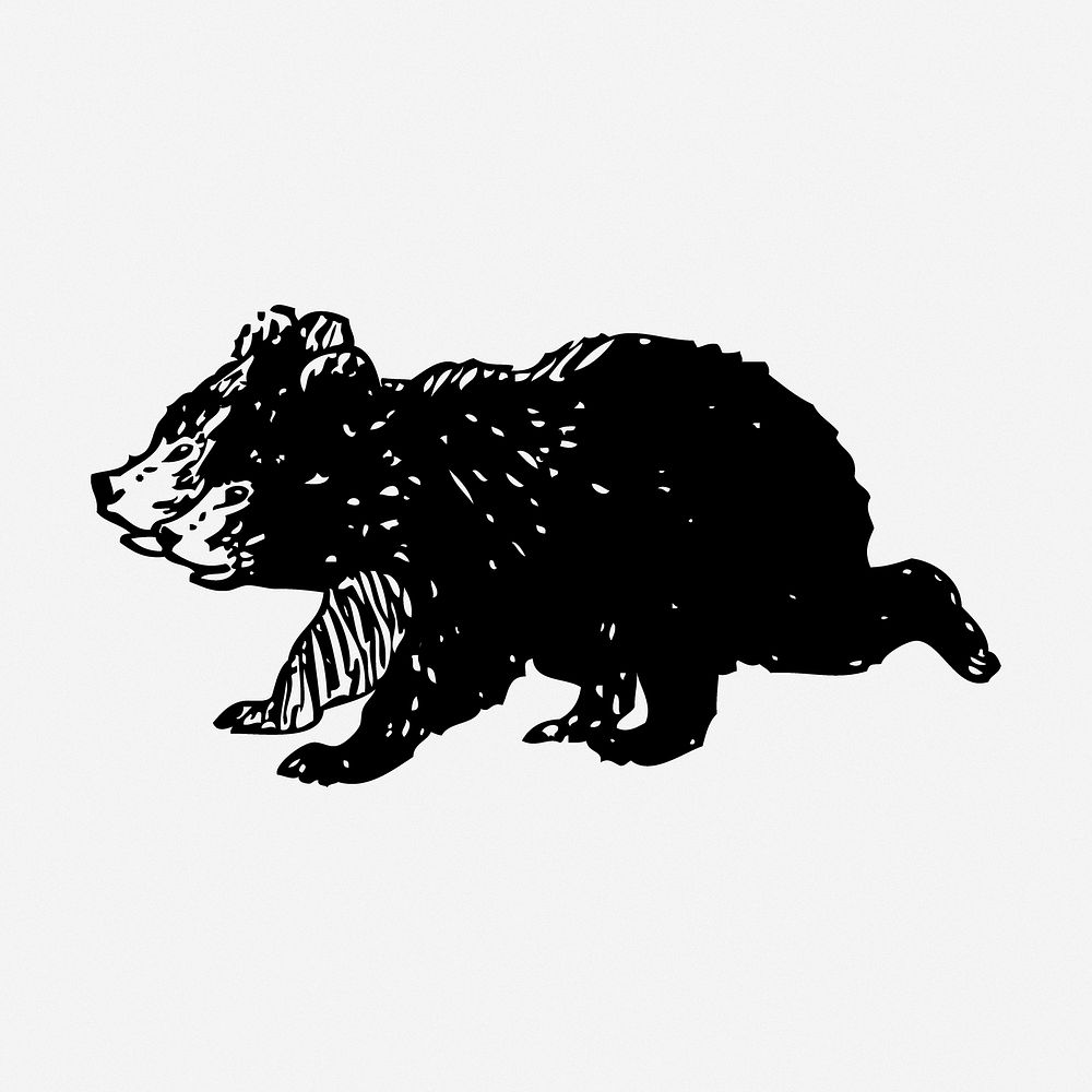 Bear cubs drawing, animal illustration. Free public domain CC0 image.