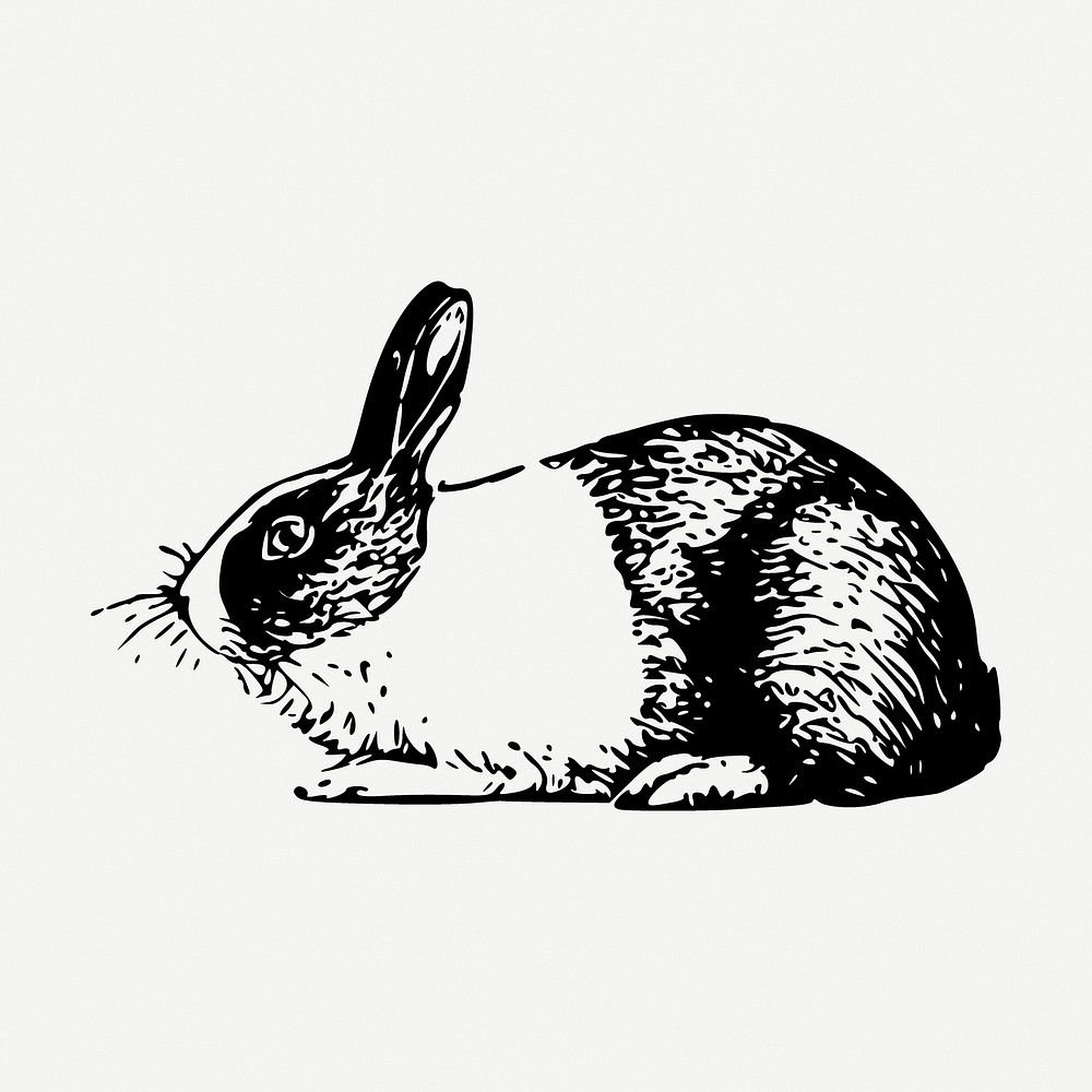 Rabbit drawing, animal vintage illustration psd. Free public domain CC0 image.