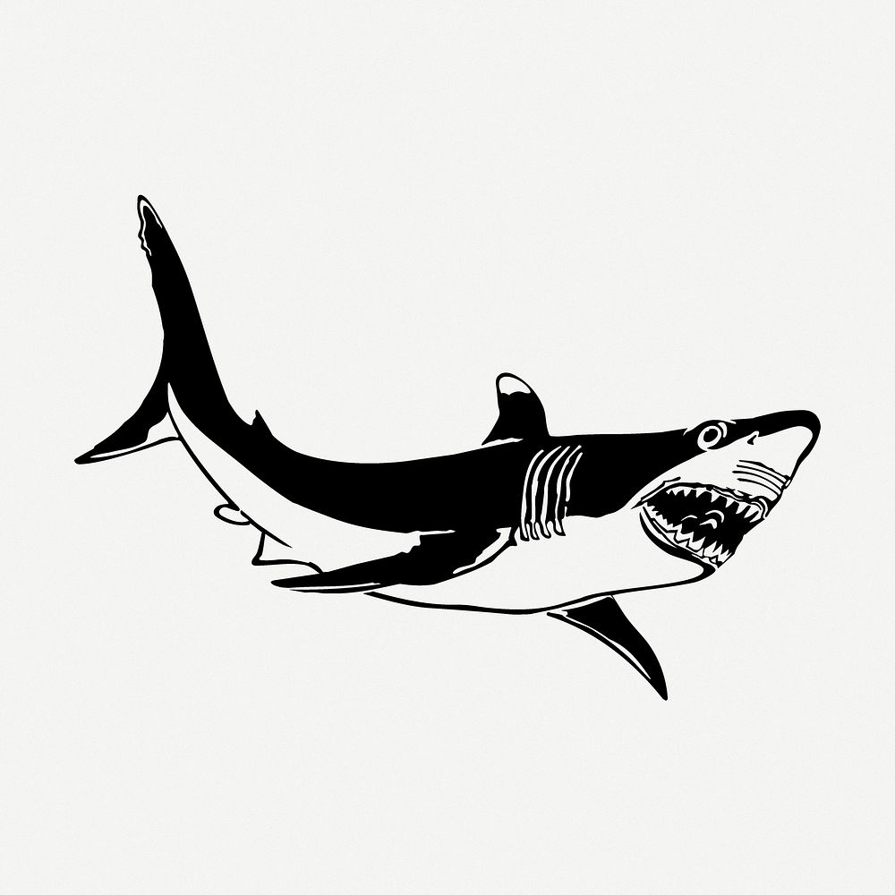 Shark drawing, animal vintage illustration psd. Free public domain CC0 image.