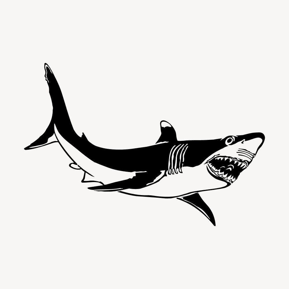 Shark drawing, vintage fish illustration vector. Free public domain CC0 image.