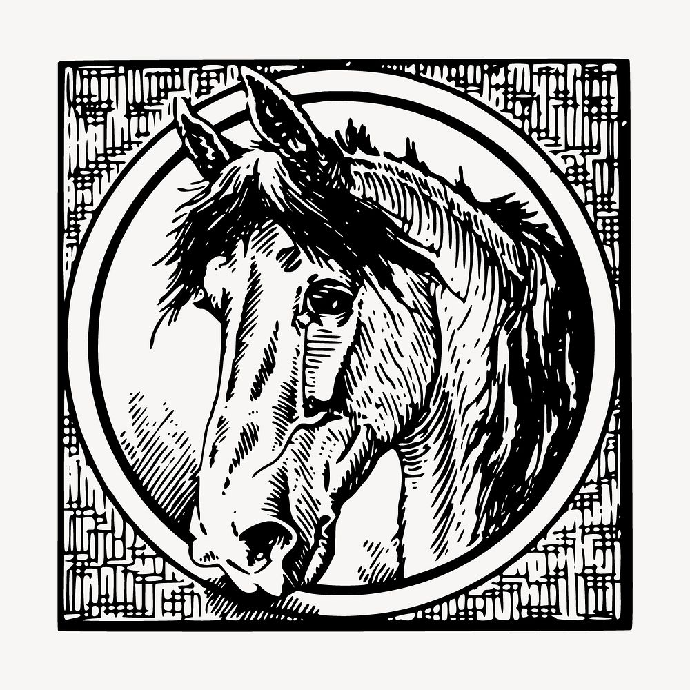 Horse badge drawing, vintage animal illustration vector. Free public domain CC0 image.