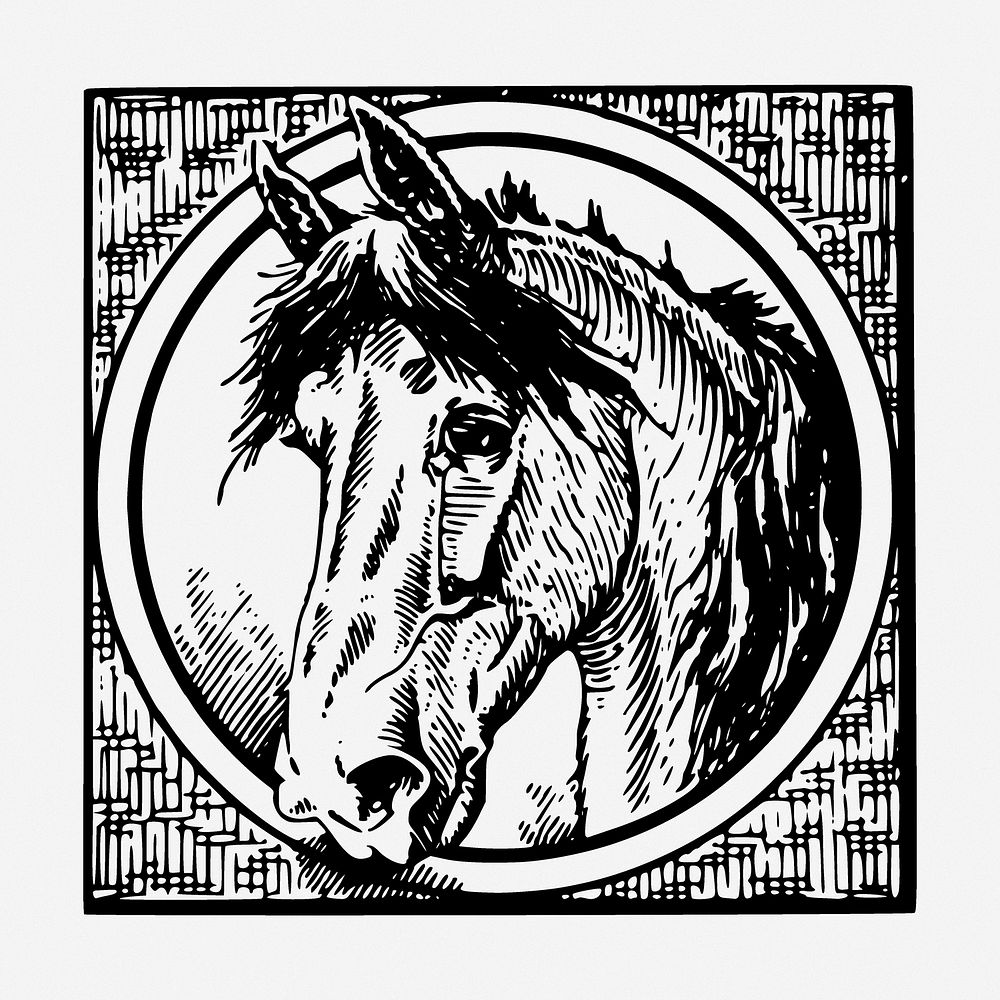 Horse badge drawing, animal vintage illustration. Free public domain CC0 image.