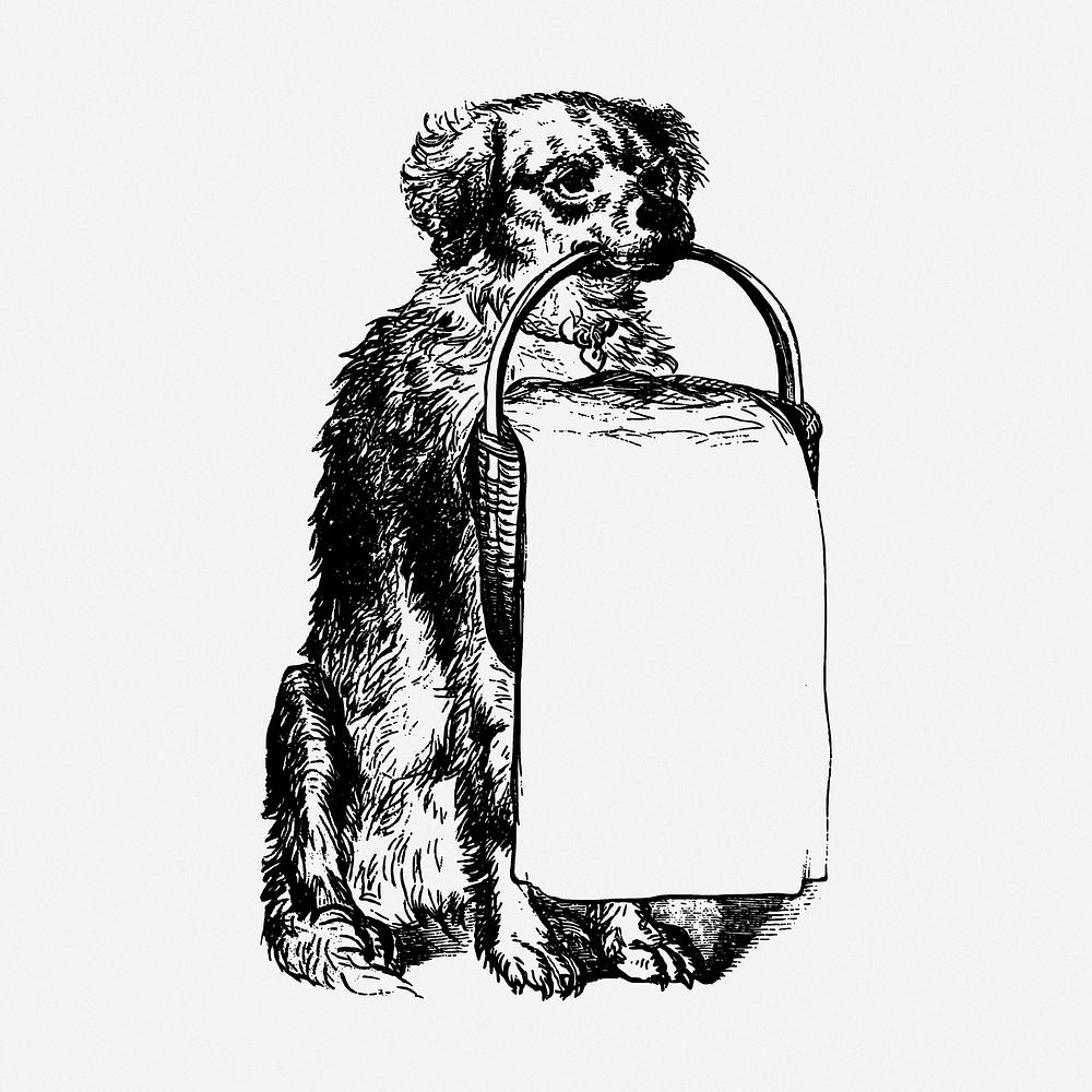 Dog drawing, animal vintage illustration. Free public domain CC0 image.