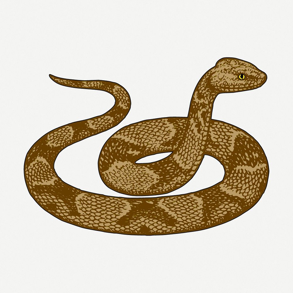 Snake drawing, animal vintage illustration psd. Free public domain CC0 image.