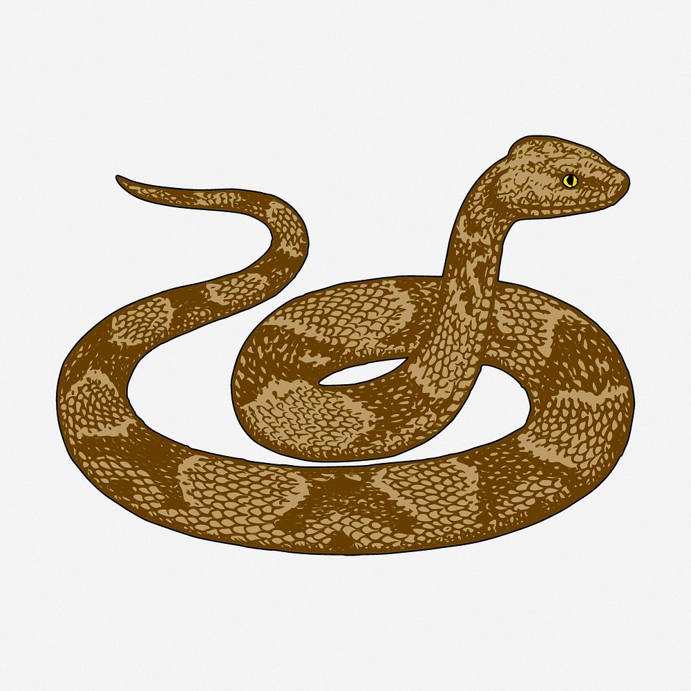 Snake drawing, animal vintage illustration. Free public domain CC0 image.
