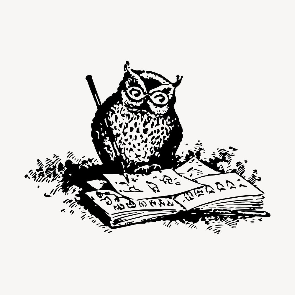 Owl drawing, vintage animal illustration vector. Free public domain CC0 image.