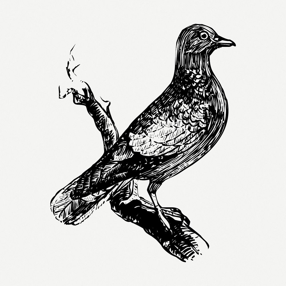 Bird drawing, animal vintage illustration psd. Free public domain CC0 image.