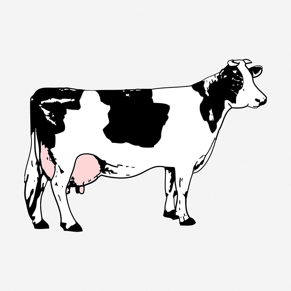 Dairy cattle drawing, farm animal illustration. Free public domain CC0 image.