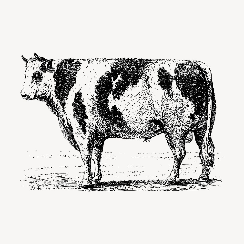 Cow drawing, farm animal illustration vector. Free public domain CC0 image.