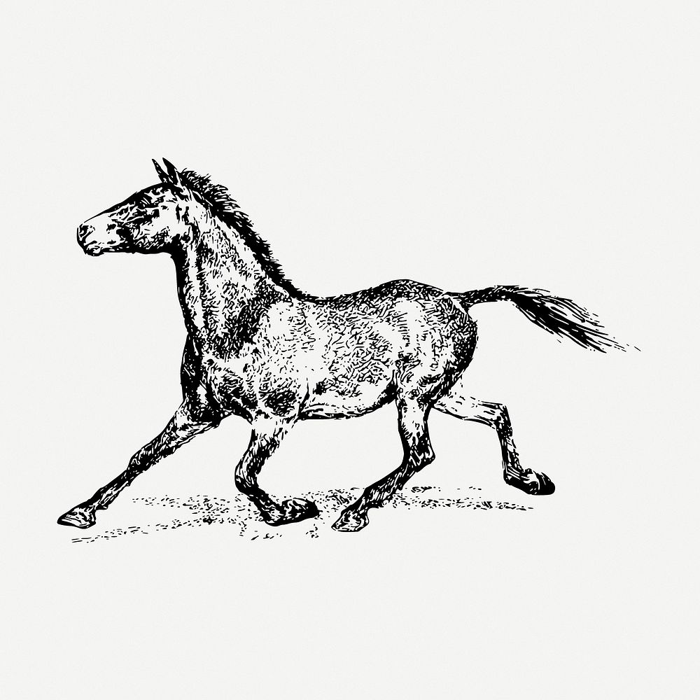 Running horse drawing, animal vintage illustration psd. Free public domain CC0 image.