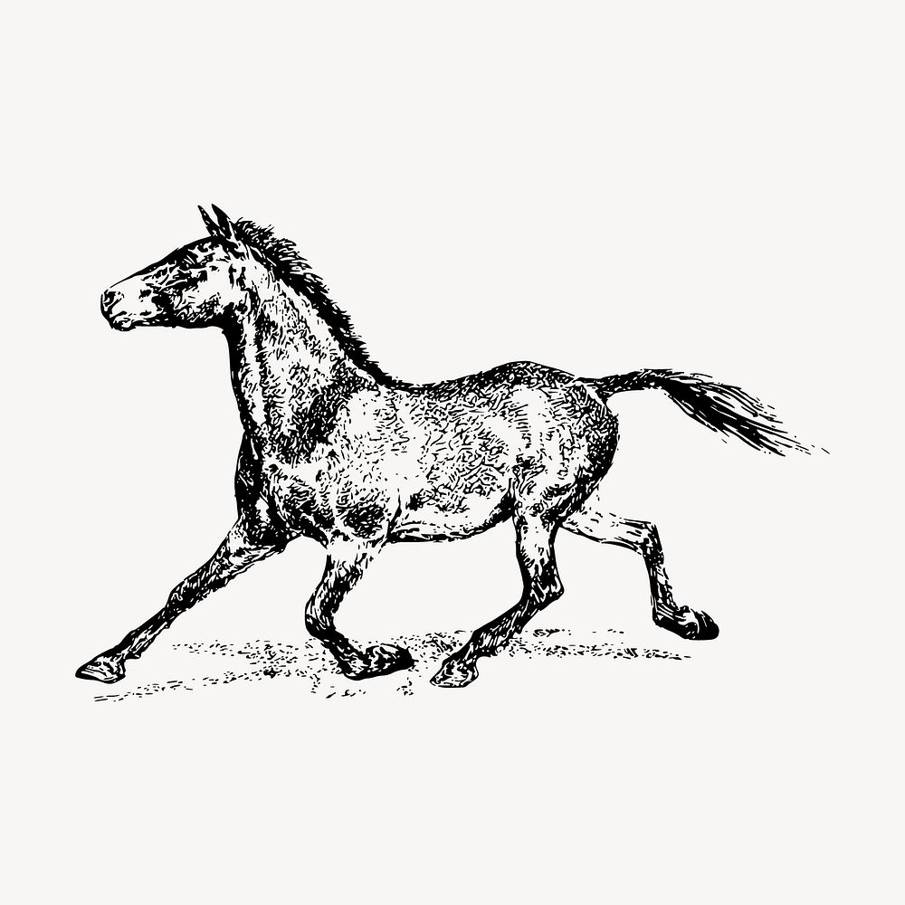 Running horse drawing, vintage animal illustration vector. Free public domain CC0 image.