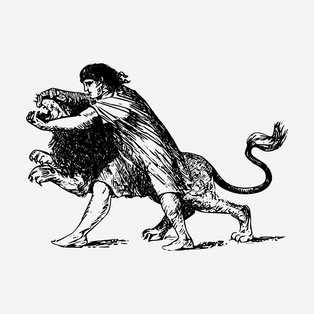 Lion wrestling drawing, sport vintage illustration psd. Free public domain CC0 image.