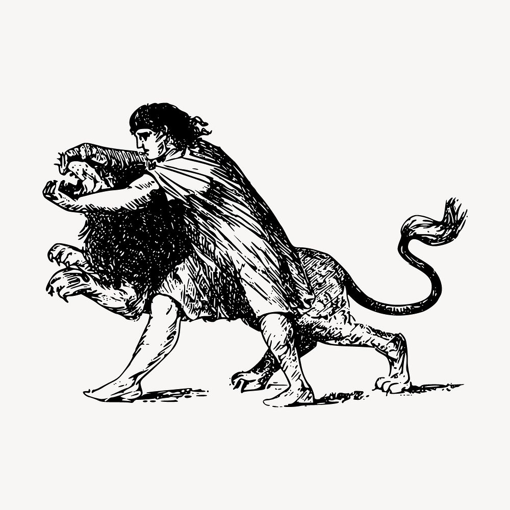 Lion wrestling drawing, vintage sport illustration vector. Free public domain CC0 image.