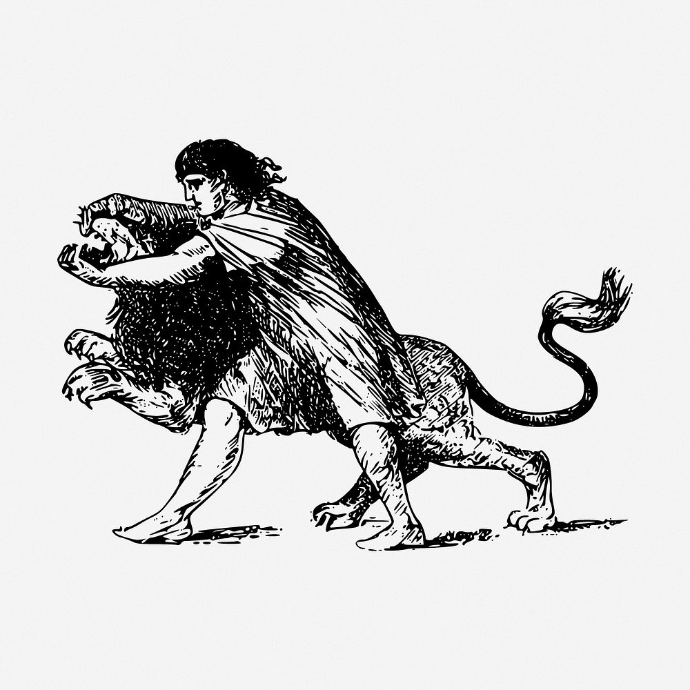 Lion wrestling drawing, sport vintage illustration. Free public domain CC0 image.