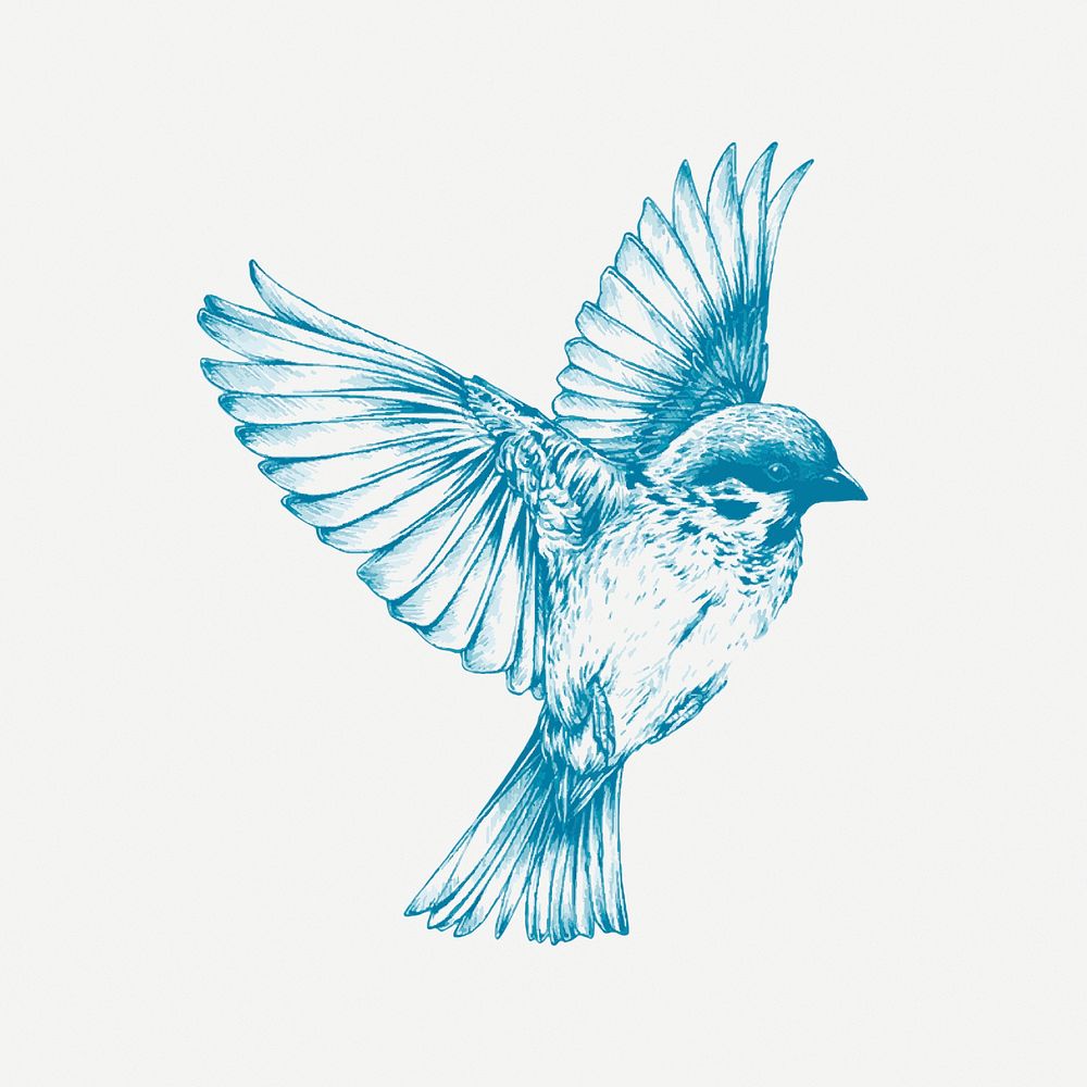 Blue sparrow bird sticker, animal vintage illustration psd. Free public domain CC0 image.