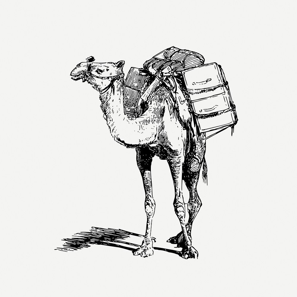 Laden camel drawing, animal-powered transport illustration psd. Free public domain CC0 image.
