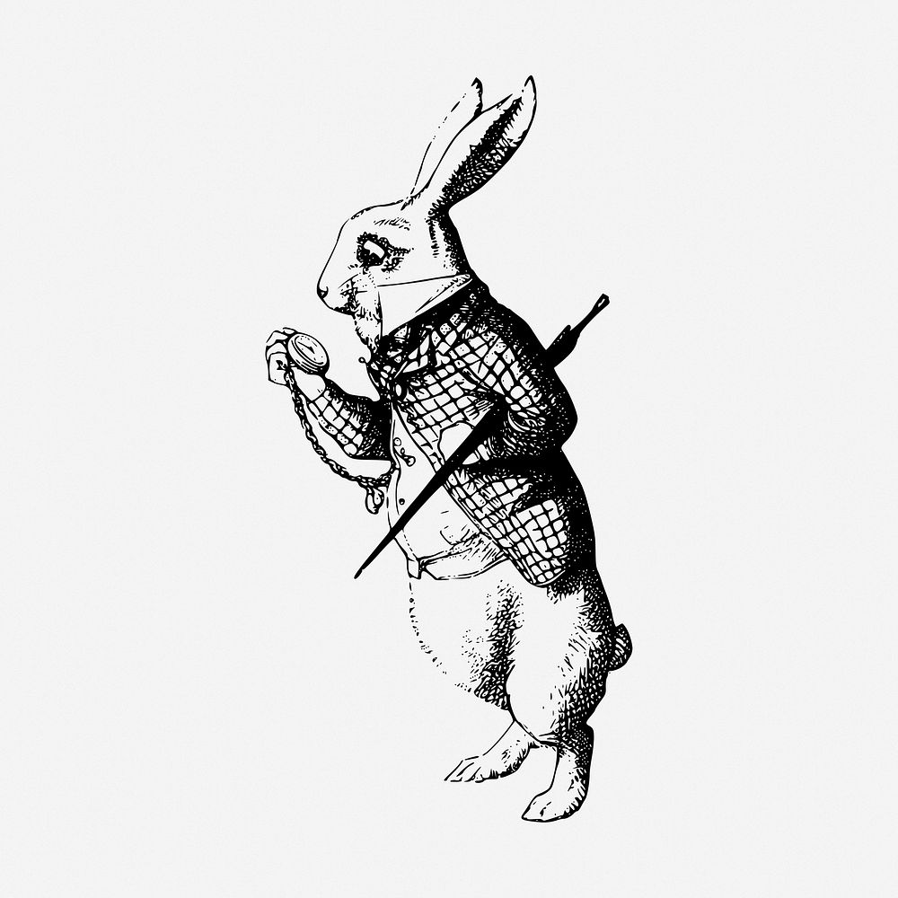 White Rabbit drawing, Alice In Wonderland character illustration. Free public domain CC0 image.