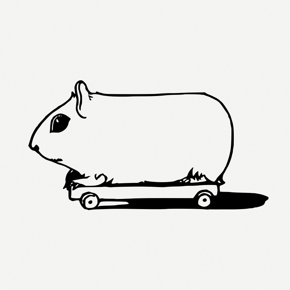 Guinea pig drawing, animal vintage illustration psd. Free public domain CC0 image.