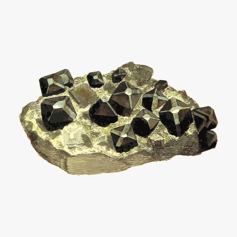 Cassiterite crystal clipart, vintage mineral illustration vector. Free public domain CC0 image.