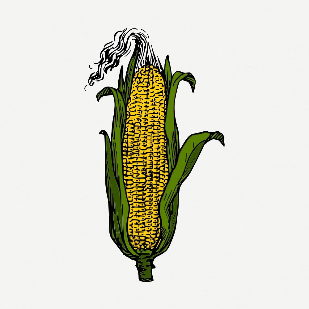 Corn sticker, vegetable vintage illustration psd. Free public domain CC0 image.