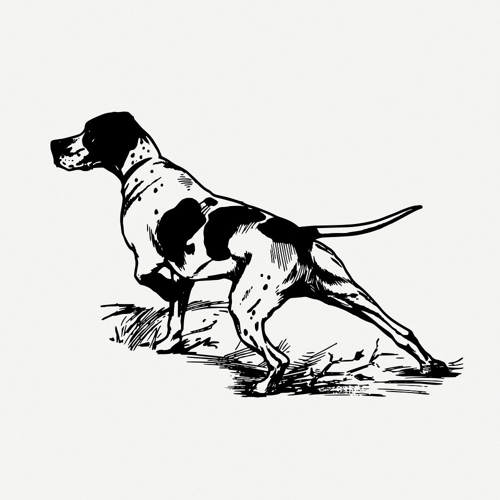 Hunting dog drawing, animal vintage illustration psd. Free public domain CC0 image.