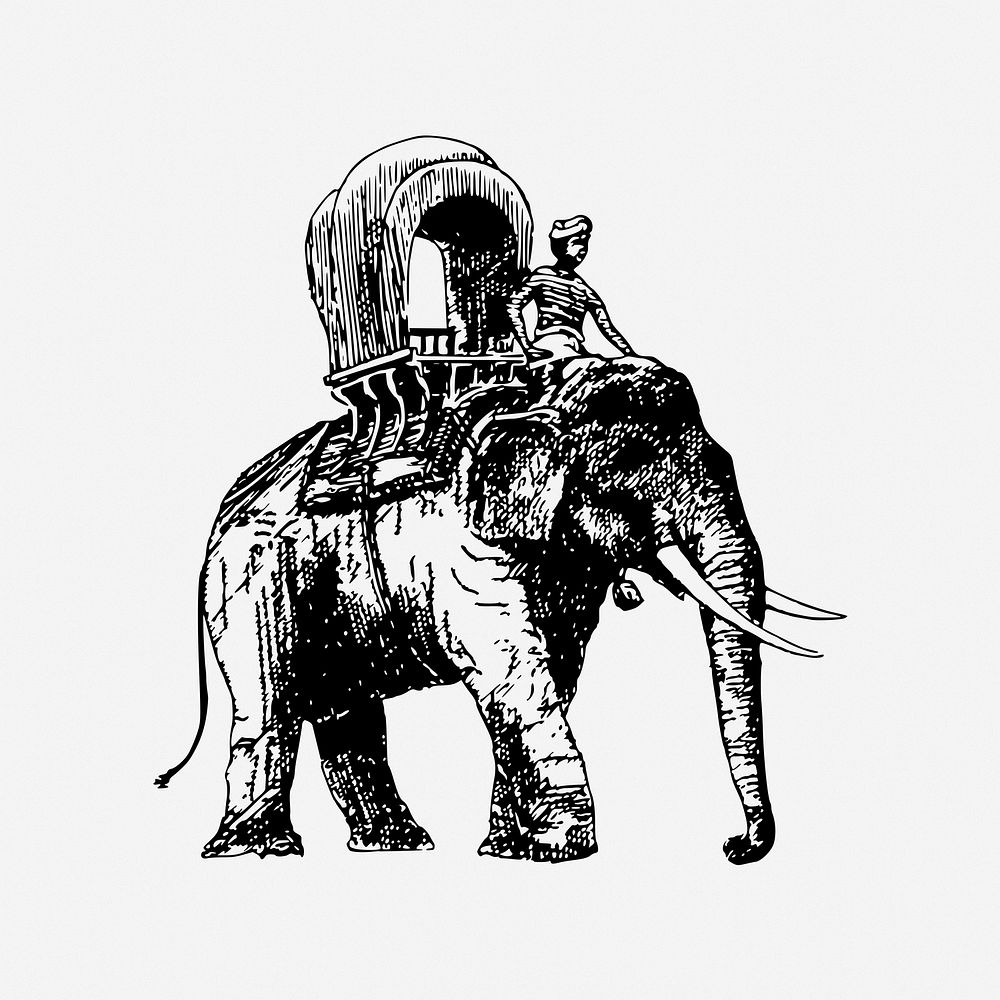 Elephant ride drawing, animal carriage, | Free Photo - rawpixel