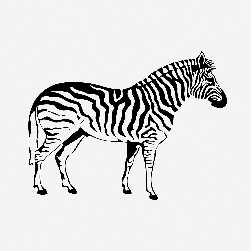 Zebra drawing, wildlife vintage illustration | Free PSD - rawpixel