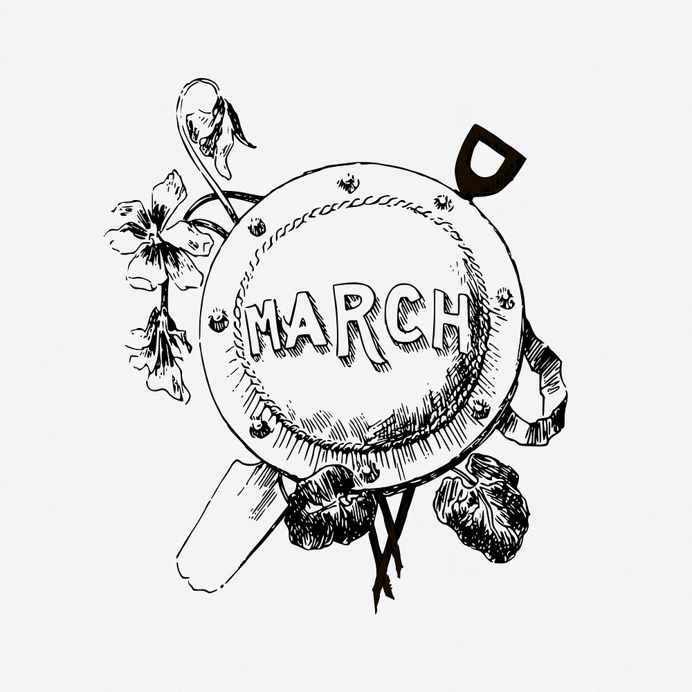 March flower badge drawing, vintage illustration. Free public domain CC0 image.