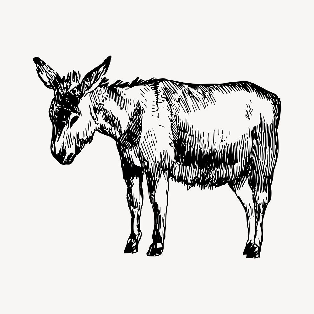 Donkey clipart, vintage farm animal illustration vector. Free public domain CC0 image.