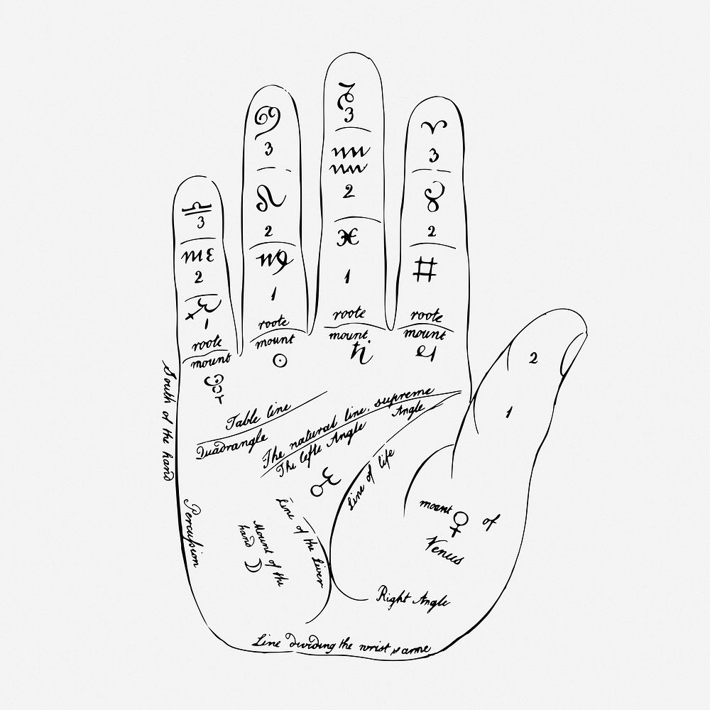Palmistry hand drawing, vintage fortune-telling illustration. Free public domain CC0 image.
