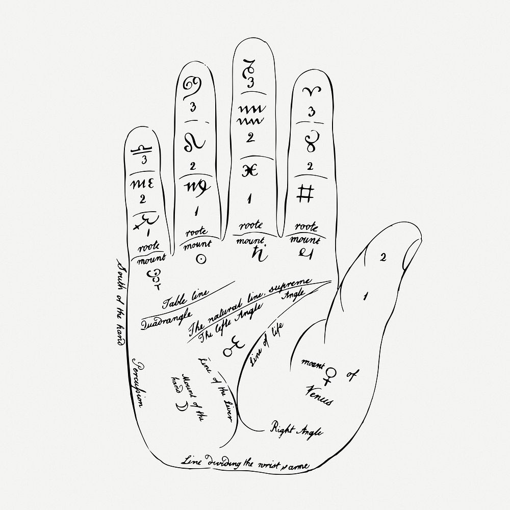 Palmistry hand drawing, fortune-telling vintage illustration psd. Free public domain CC0 image.