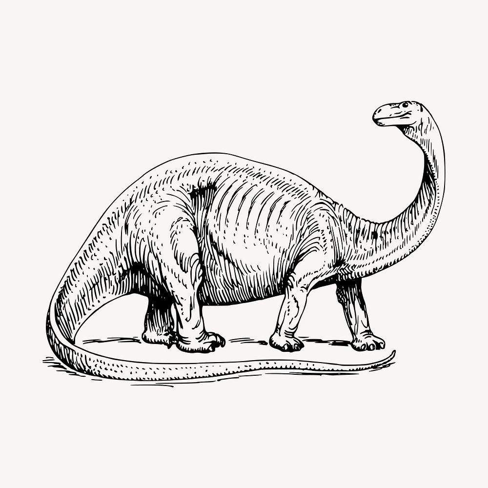 Long neck dinosaur clipart, vintage extinct animal illustration vector. Free public domain CC0 image.