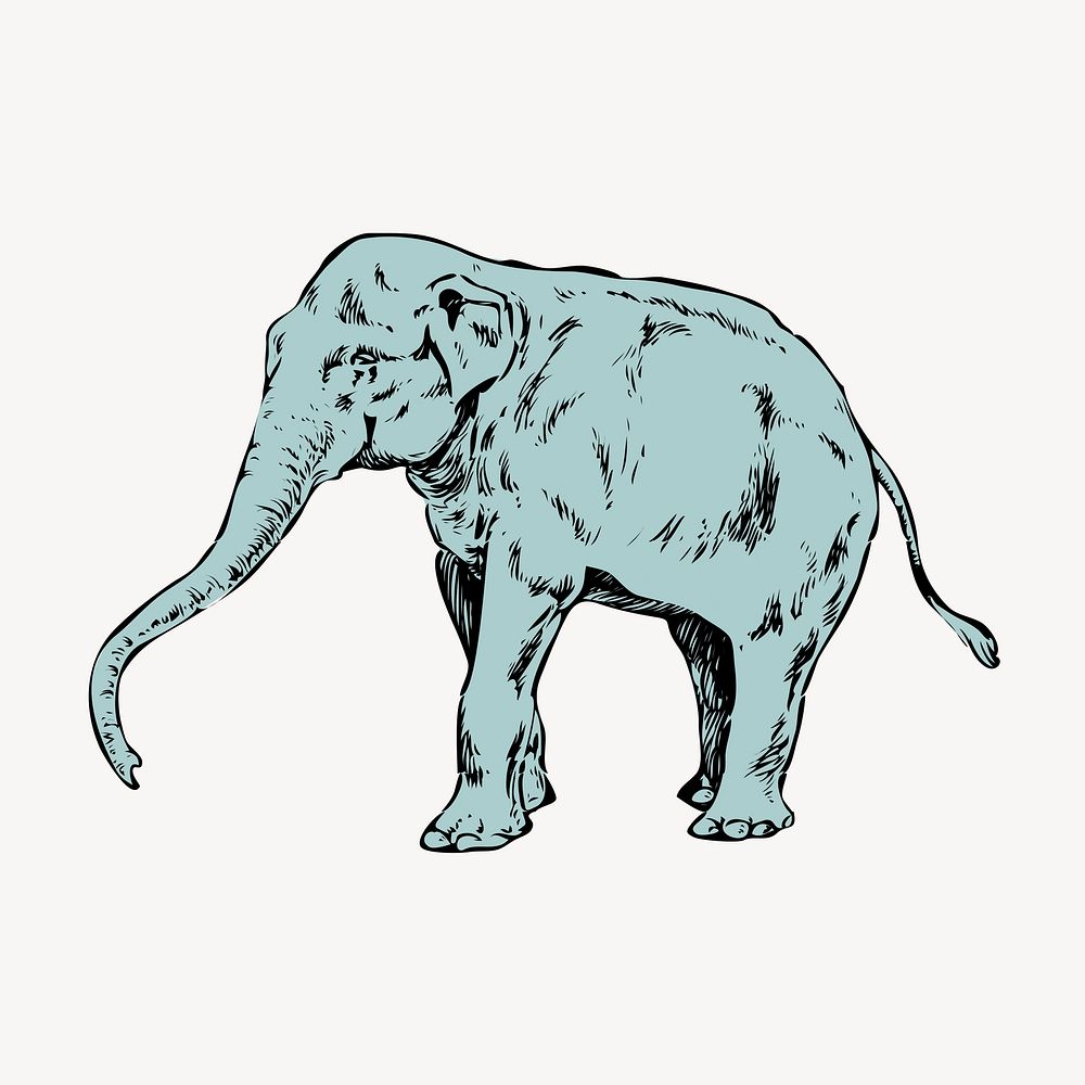 Elephant clipart, vintage wildlife illustration vector. Free public domain CC0 image.
