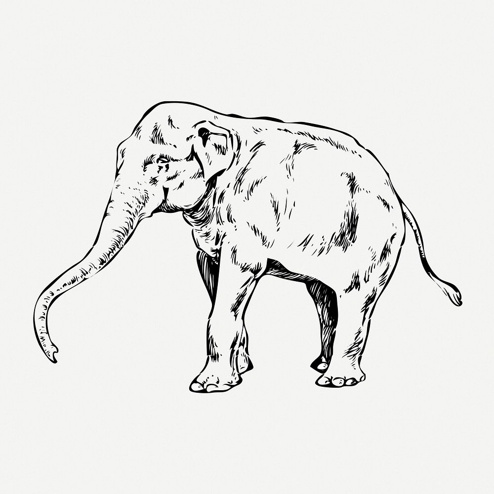 Elephant drawing, wildlife vintage illustration psd. Free public domain CC0 image.