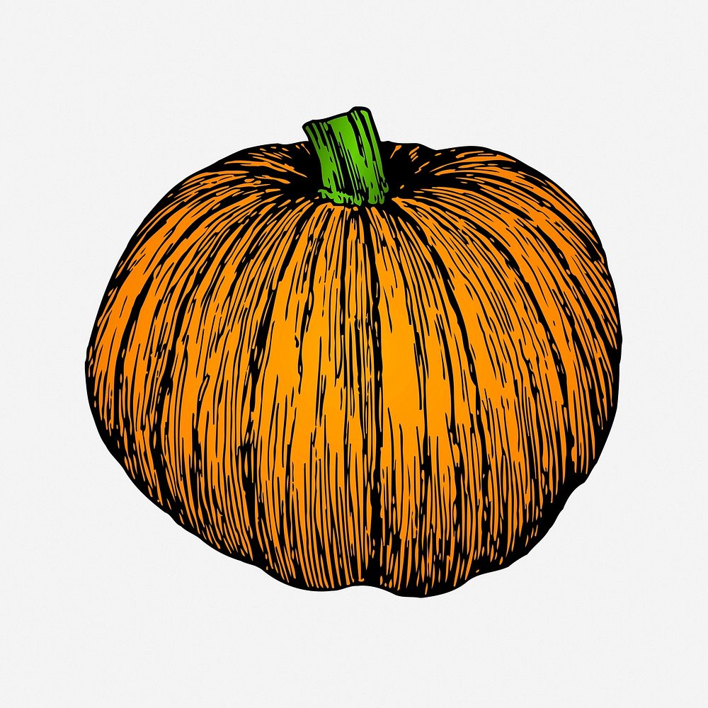 Pumpkin collage element, vintage plant illustration. Free public domain CC0 image.