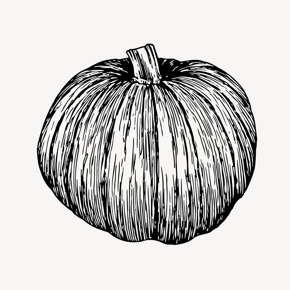 Pumpkin clipart, vintage vegetable illustration vector. Free public domain CC0 image.