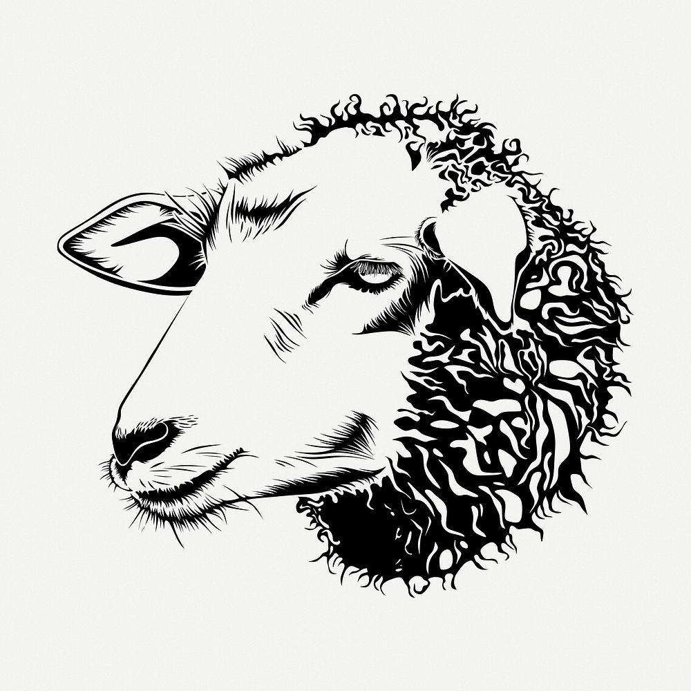 Sheep head drawing, animal vintage illustration psd. Free public domain CC0 image.