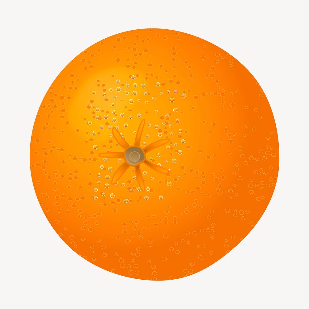Tangerine fruit clip art color illustration. Free public domain CC0 image.