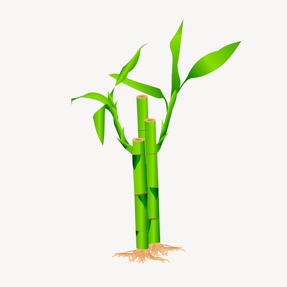 Bamboo plant clipart, collage element illustration psd. Free public domain CC0 image.