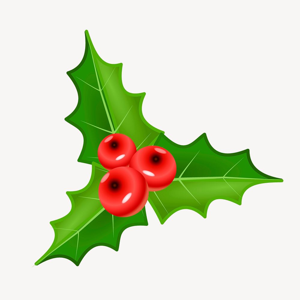 Christmas holly berry clipart, collage element illustration psd. Free public domain CC0 image.