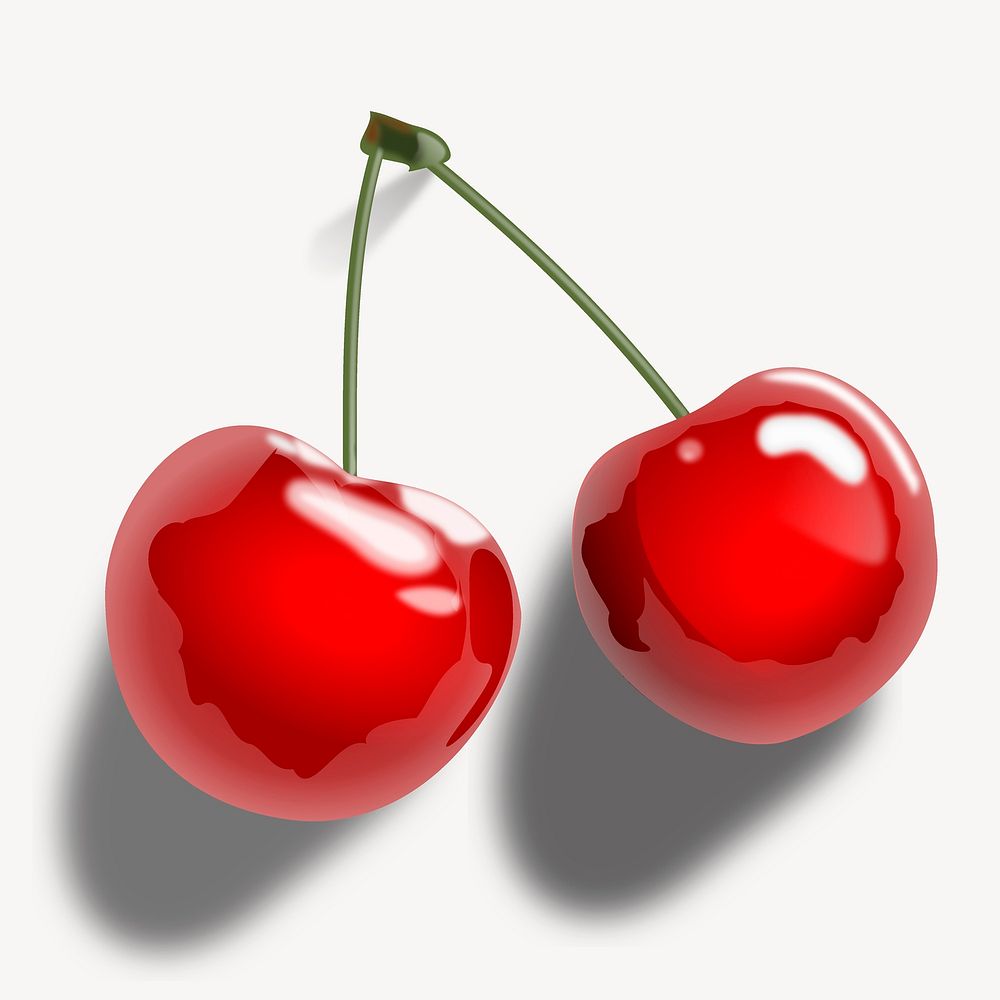 Realistic cherries clip art color illustration. Free public domain CC0 image.