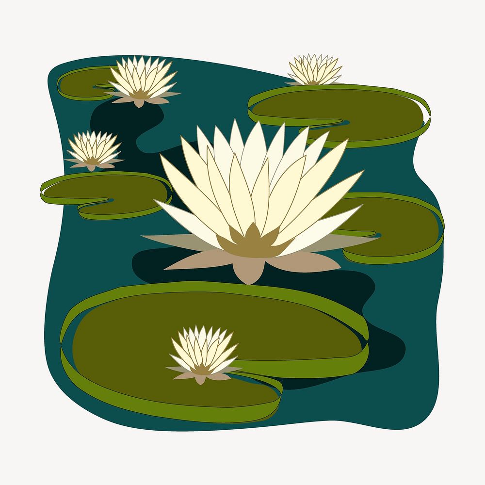White water lilies illustration. Free public domain CC0 image.