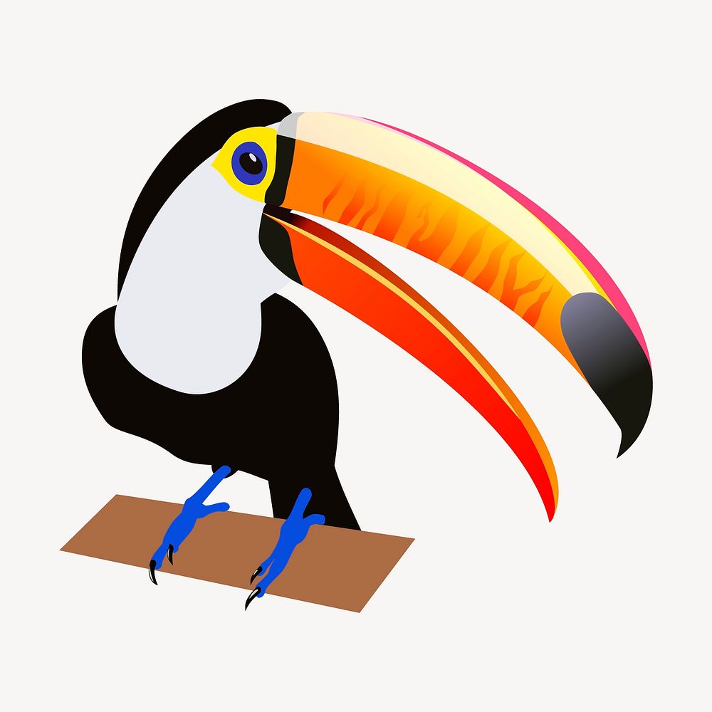 Toucan bird collage element, wild animal illustration vector. Free public domain CC0 image.